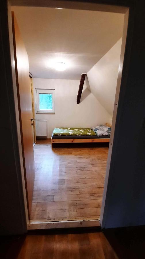 Dum U Lesa - Nove Hamry Vila Exterior foto