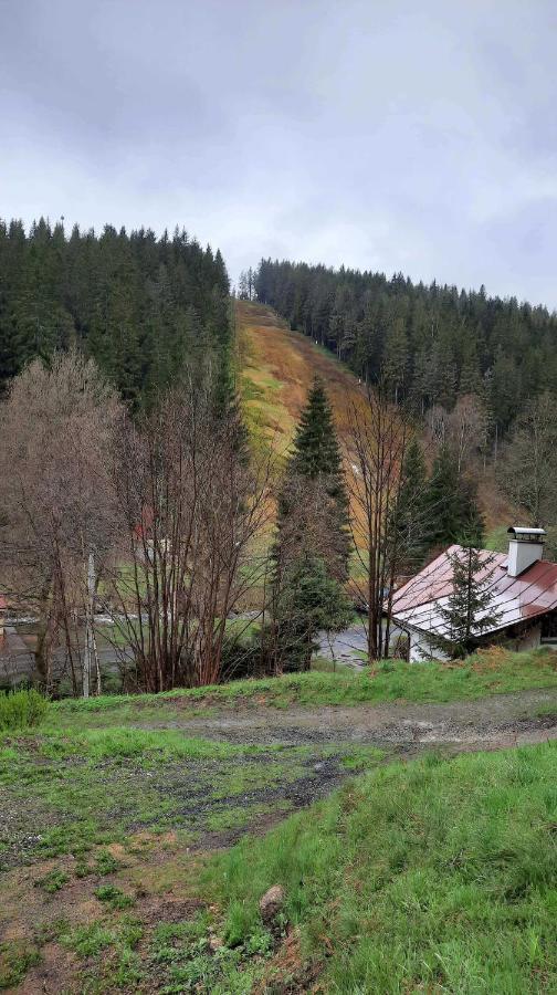 Dum U Lesa - Nove Hamry Vila Exterior foto
